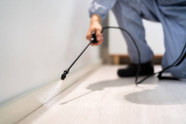 Licensed Fumigation Services service in Hilltop, MN - Nex Pest Control