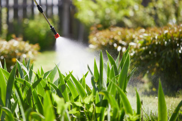 24/7 Emergency Fumigation Services experts in Hilltop, MN