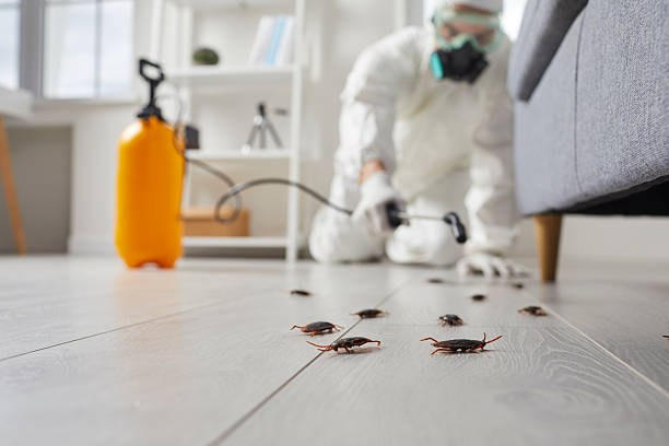 Trusted Fumigation Services service in Hilltop, MN - Nex Pest Control