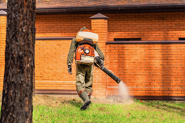 Trusted Mosquito Control service in Hilltop, MN - Nex Pest Control